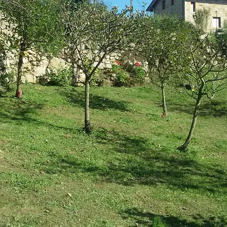 컨트리하우스 La Palmera San Vicente del Monte